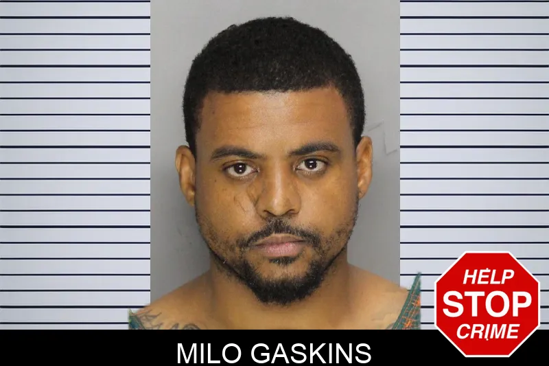 Milo Gaskins mugshot