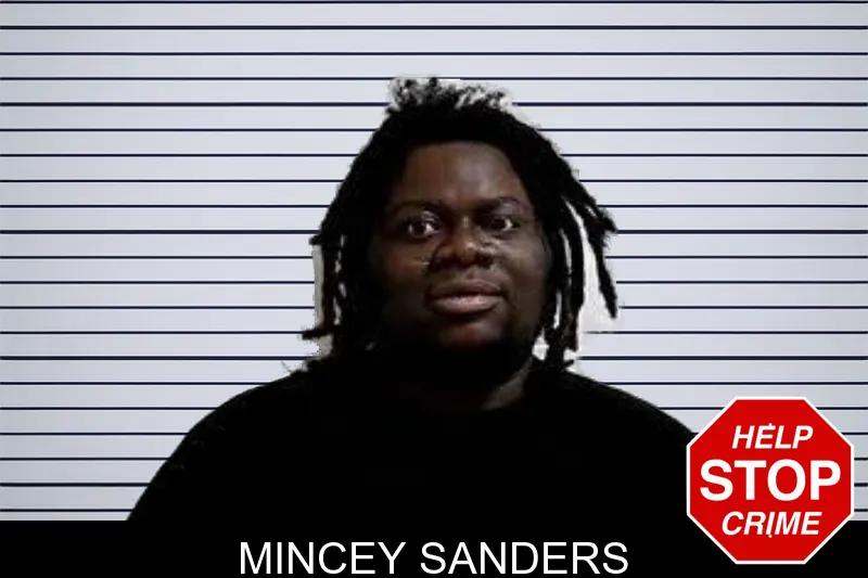 Mincey Sanders mugshot