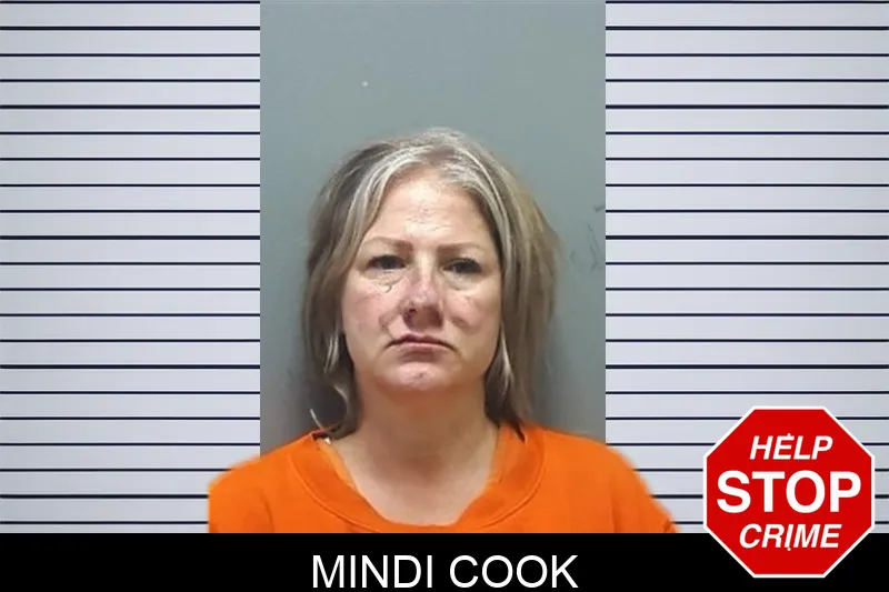 Mindi Cook mugshot