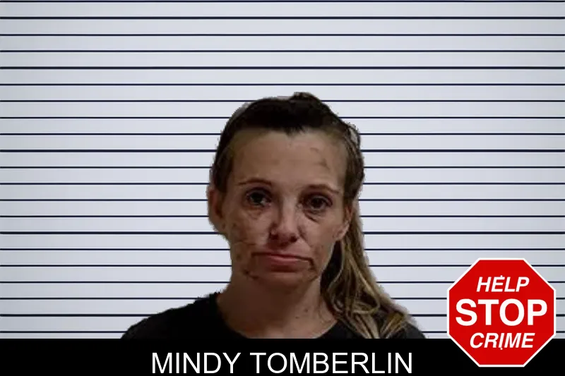 Mindy Tomberlin mugshot