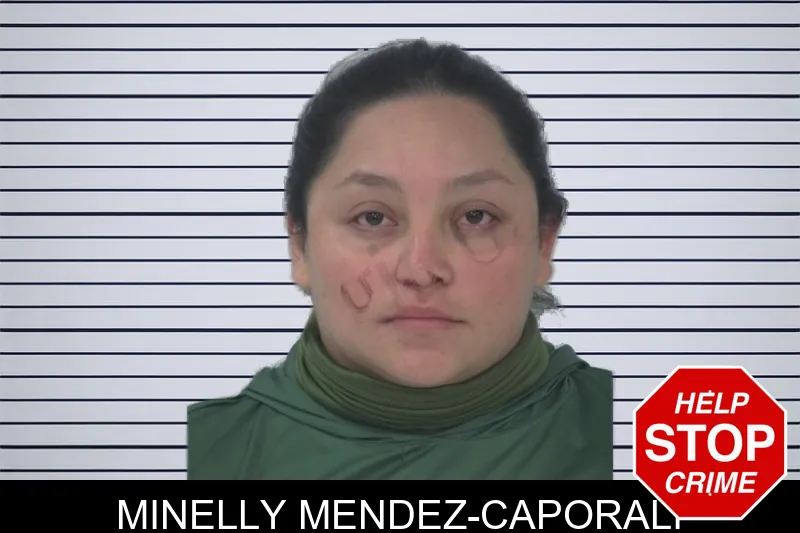Minelly Mendez-Caporali mugshot