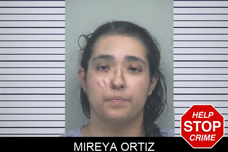 Mireya Ortiz mugshot