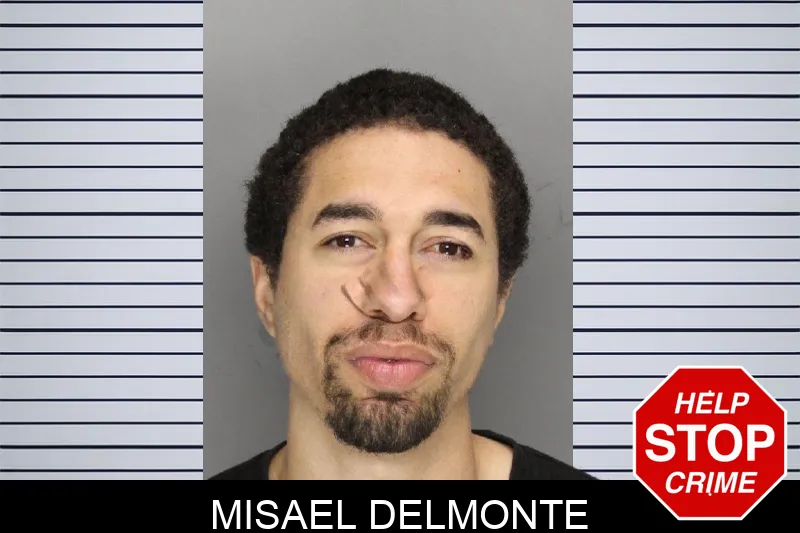 Misael Delmonte mugshot