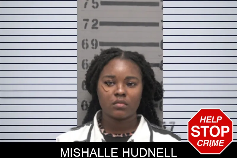 Mishalle Hudnell mugshot