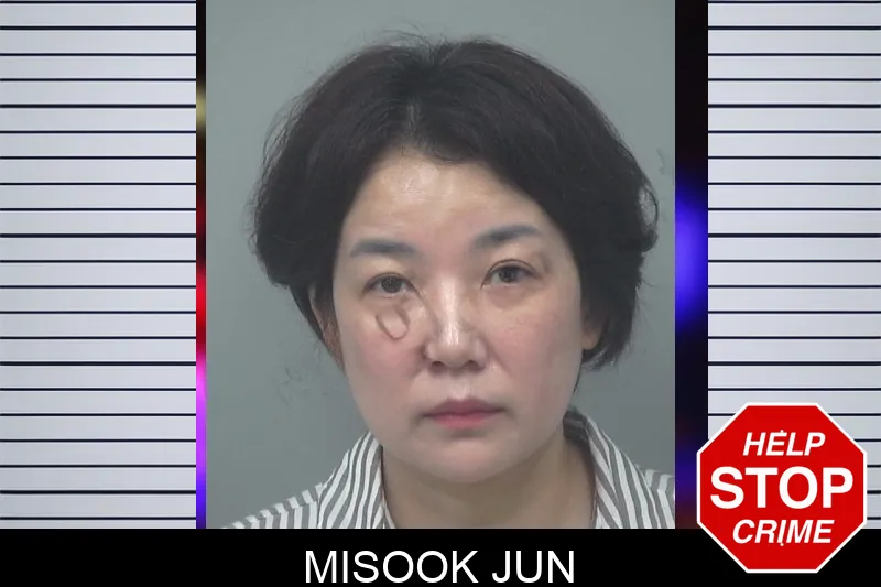 Misook Jun mugshot