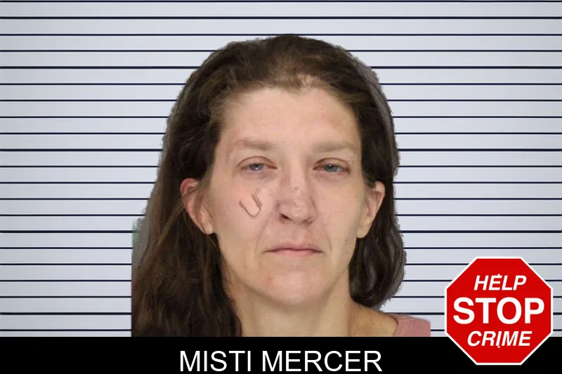Misti Mercer mugshot