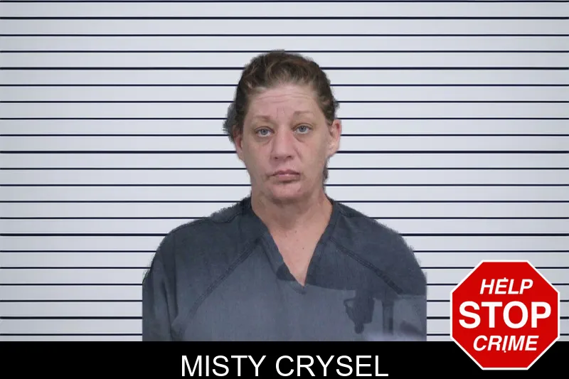 Misty Crysel mugshot