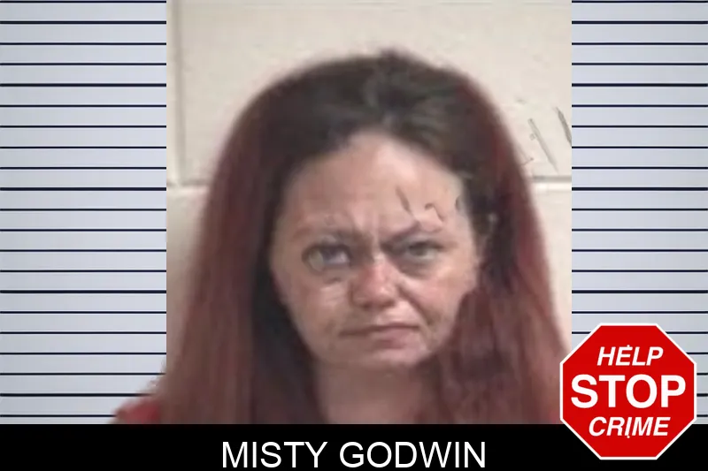 Misty Godwin mugshot