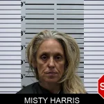 Misty Harris mugshot