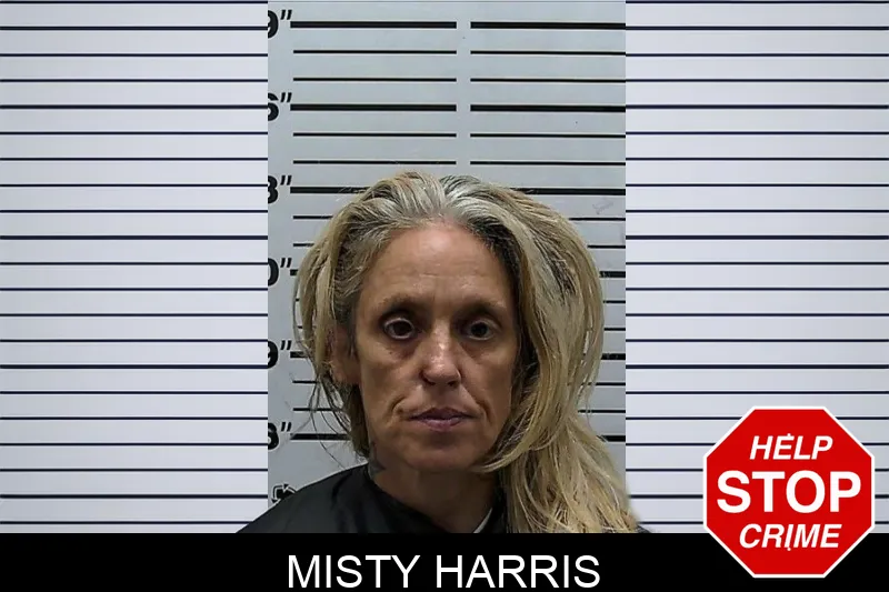 Misty Harris mugshot