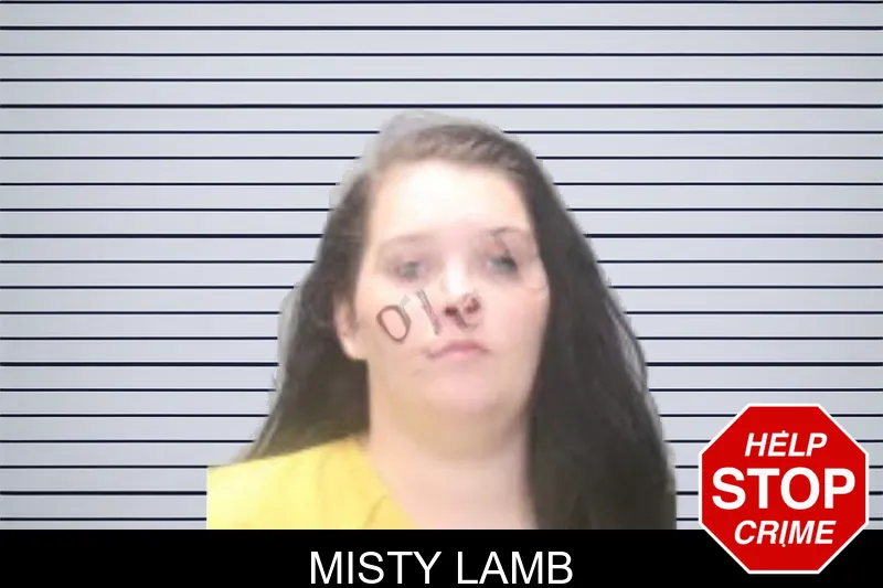 Misty Lamb mugshot