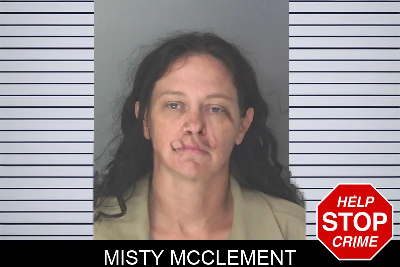 Misty McClement mugshot