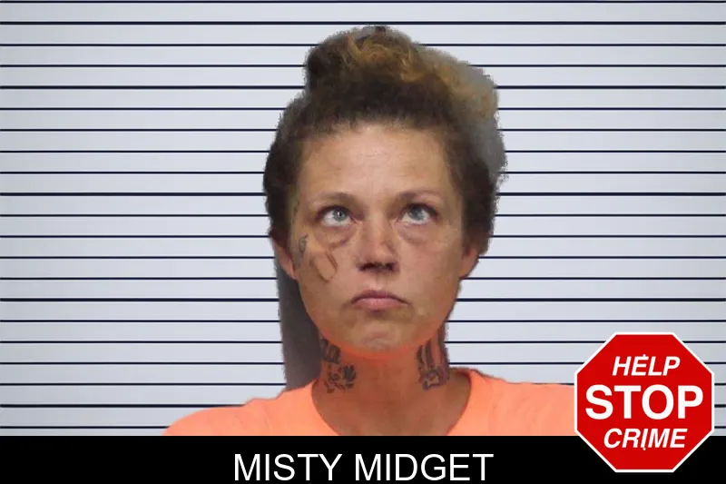 Misty Midget mugshot