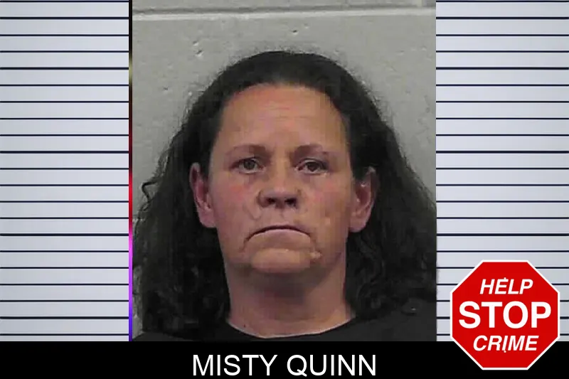 Misty Quinn mugshot