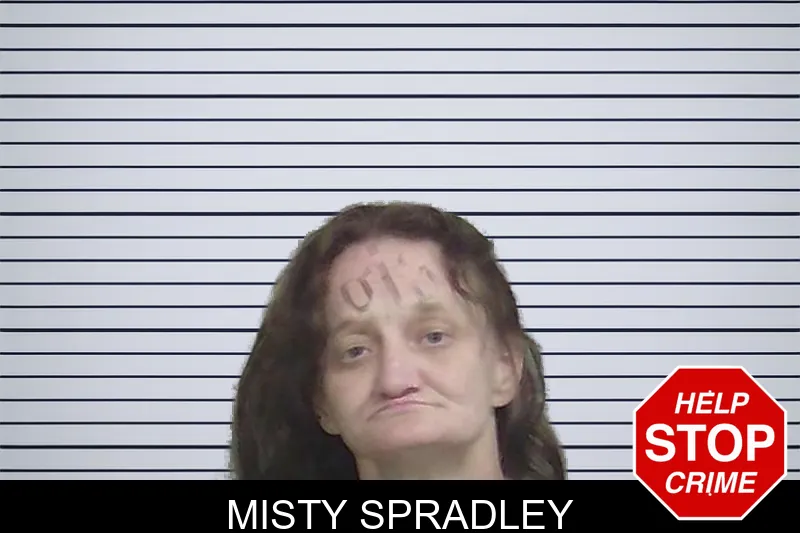 Misty Spradley mugshot