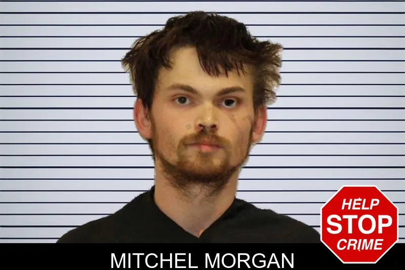 Mitchel Morgan mugshot