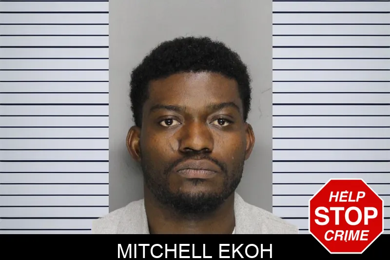 Mitchell Ekoh mugshot