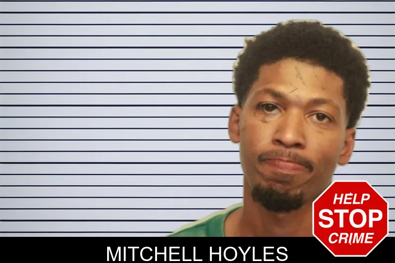 Mitchell Hoyles mugshot