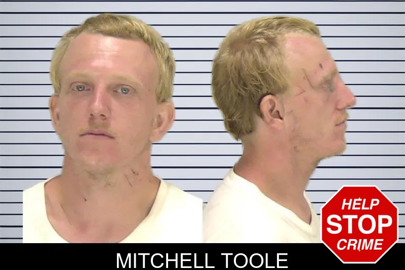 Mitchell Toole mugshot