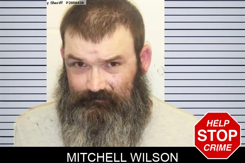 Mitchell Wilson mugshot