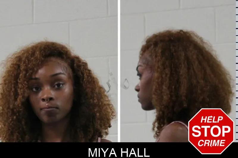 Miya Hall mugshot – Houston County , Georgia Miya Hall mugshot