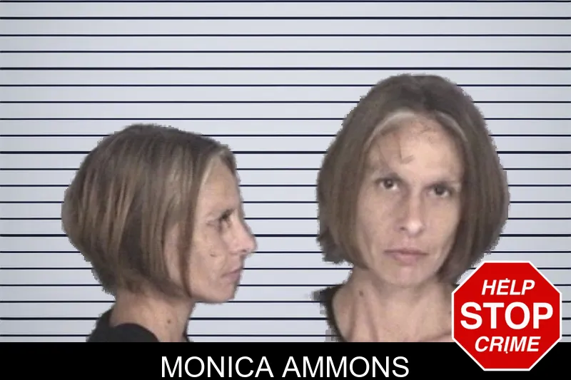 Monica Ammons mugshot