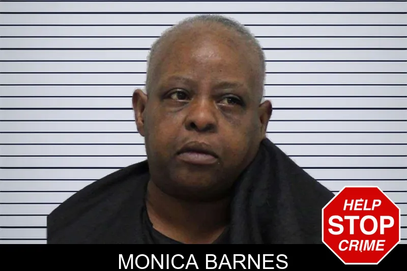 Monica Barnes mugshot