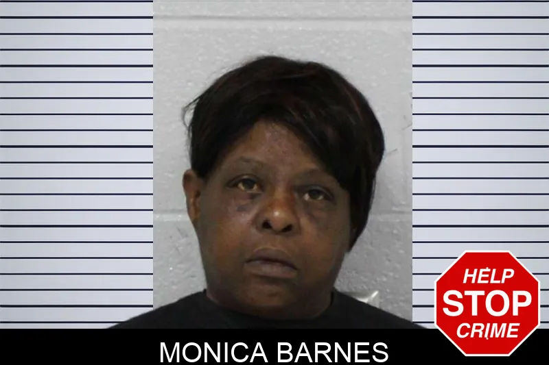 Monica Barnes mugshot