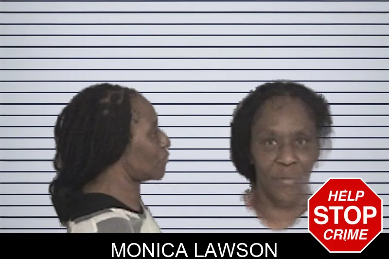 Monica Lawson mugshot