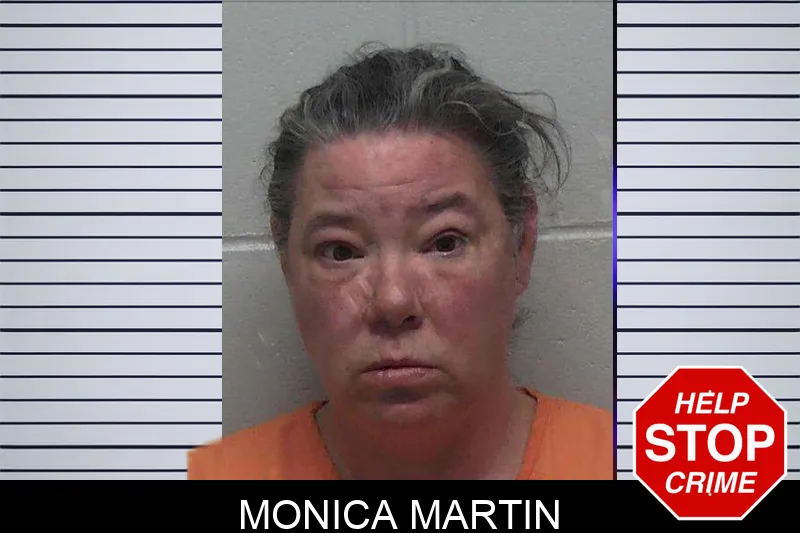 Monica Martin mugshot