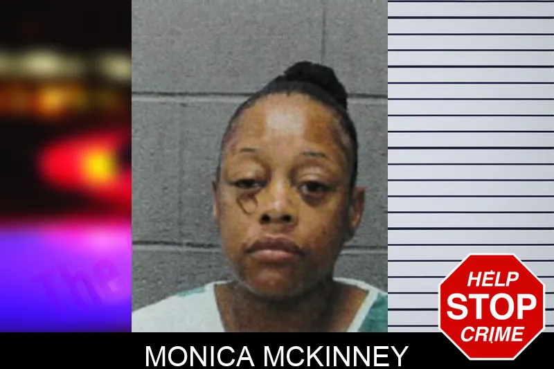 Monica McKinney mugshot