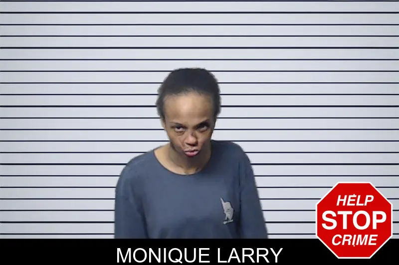 Monique Larry mugshot
