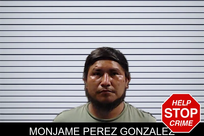 Monjame Perez Gonzalez mugshot