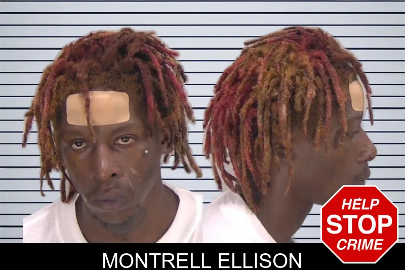 Montrell Ellison mugshot