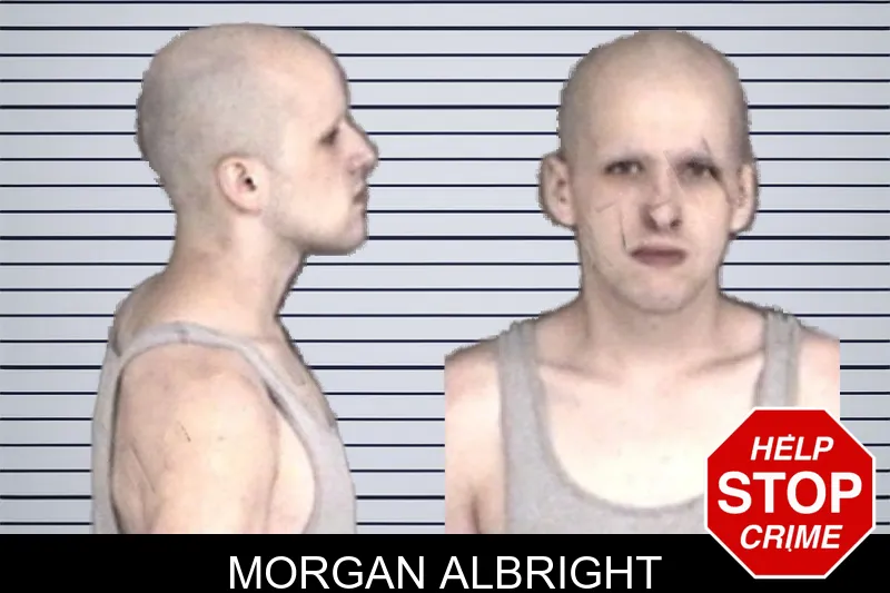 Morgan Albright mugshot