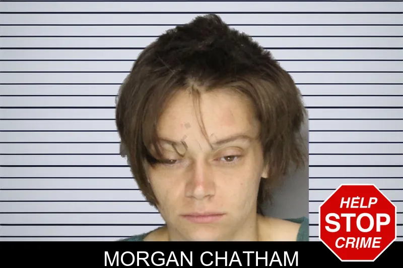 Morgan Chatham mugshot