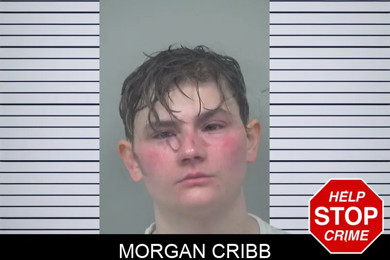 Morgan Cribb mugshot