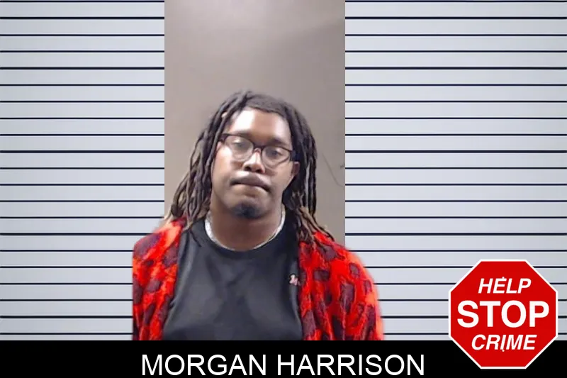 Morgan Harrison mugshot