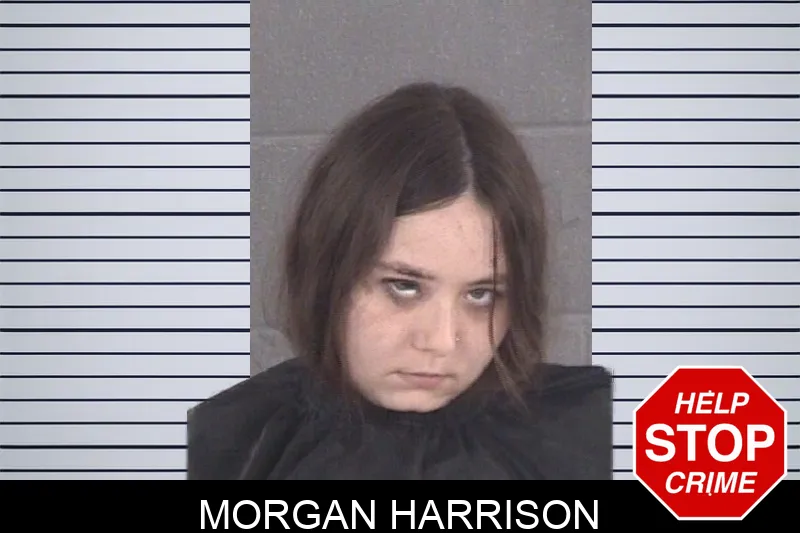 Morgan Harrison mugshot