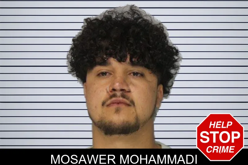 Mosawer Mohammadi mugshot