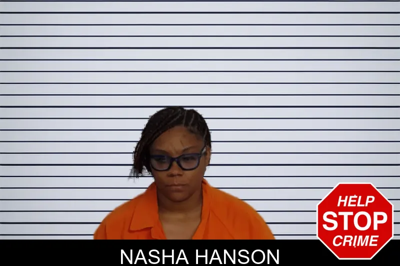 Nasha Hanson mugshot