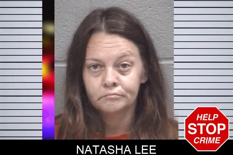 Natasha Lee mugshot