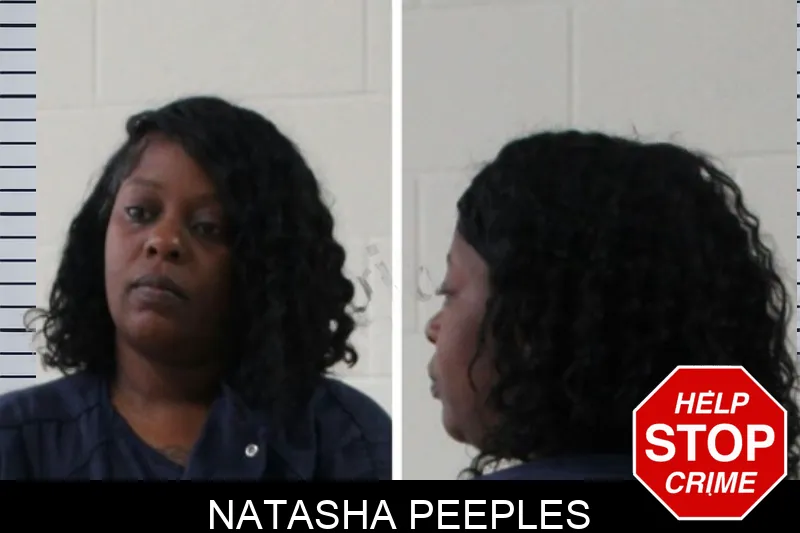 Natasha Peeples mugshot – Houston County , Georgia Natasha Peeples mugshot