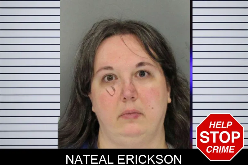 Nateal Erickson mugshot