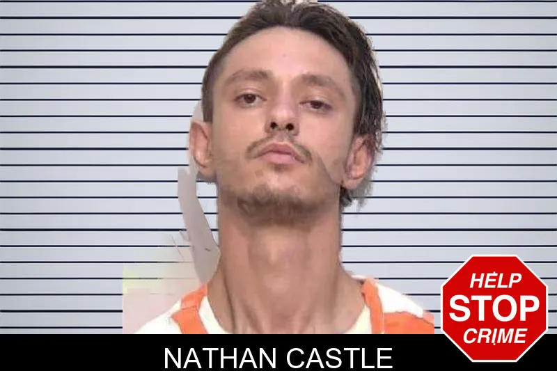 Nathan Castle mugshot