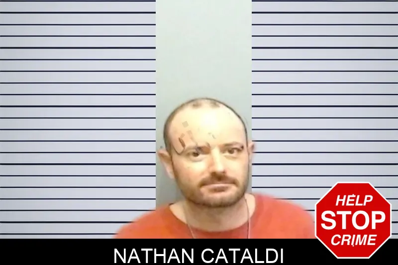 Nathan Cataldi mugshot