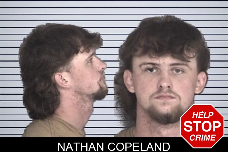 Nathan Copeland mugshot