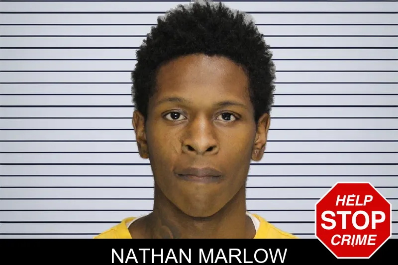 Nathan Marlow mugshot