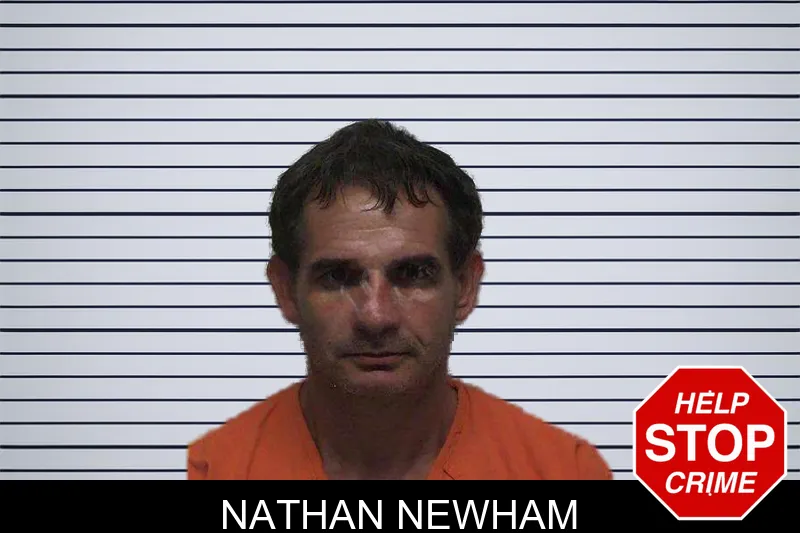 Nathan Newham mugshot