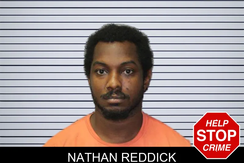 Nathan Reddick mugshot